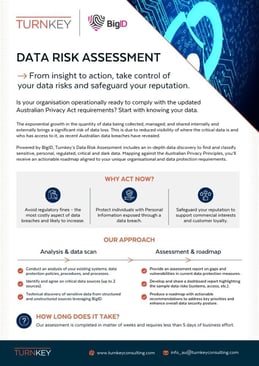 Copy of Data Risk Assessment Flyer