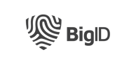 BigID Logo