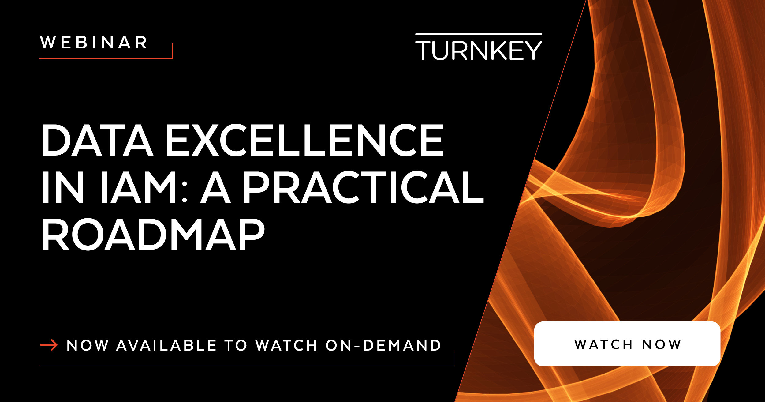 Turnkey Data excellence in IAM A practical roadmap On demand (1)