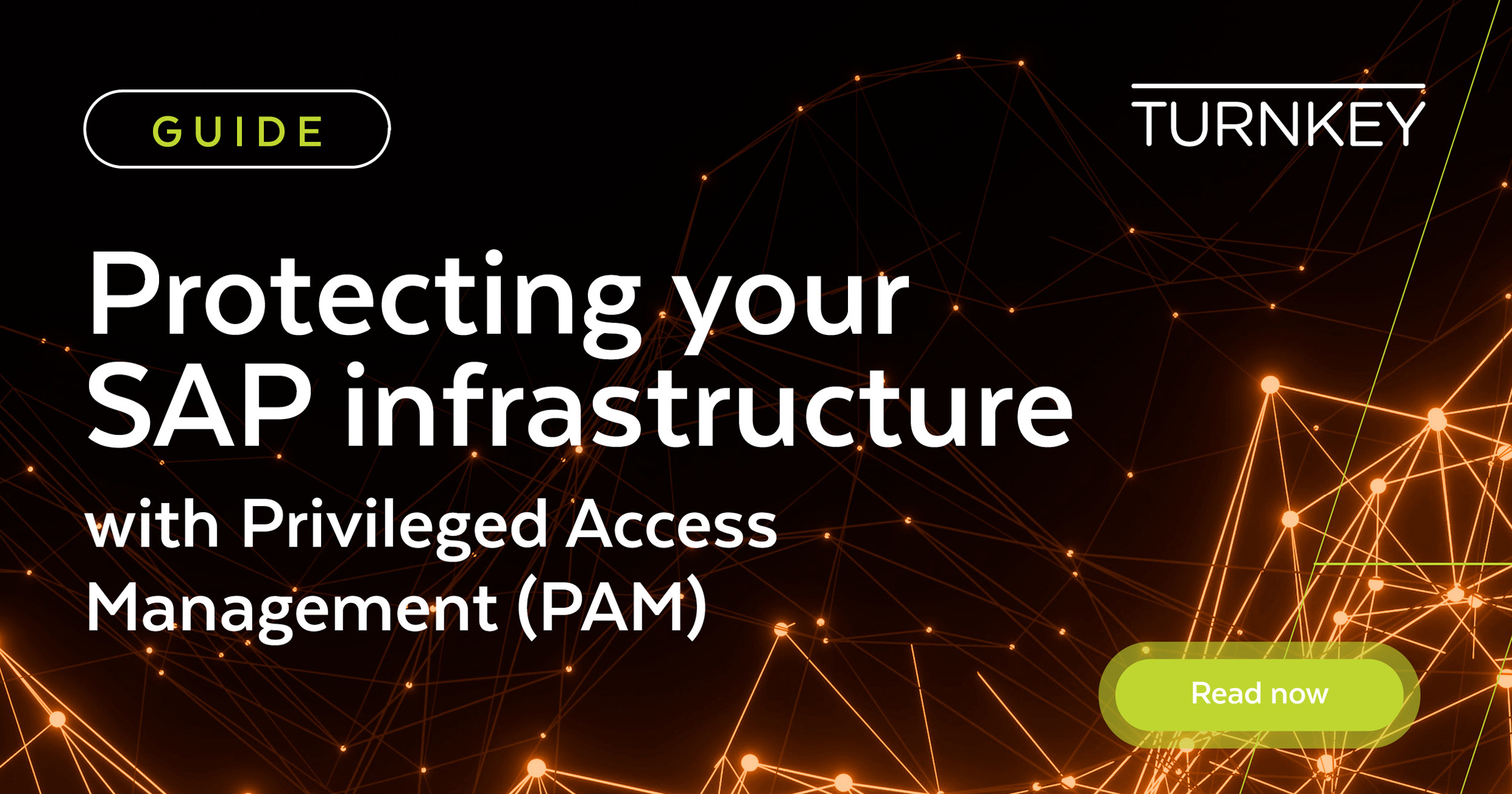 Turnkey_Privileged Access Management  SAP (PAM)_updated styling Banners 12x4 + 12x6752