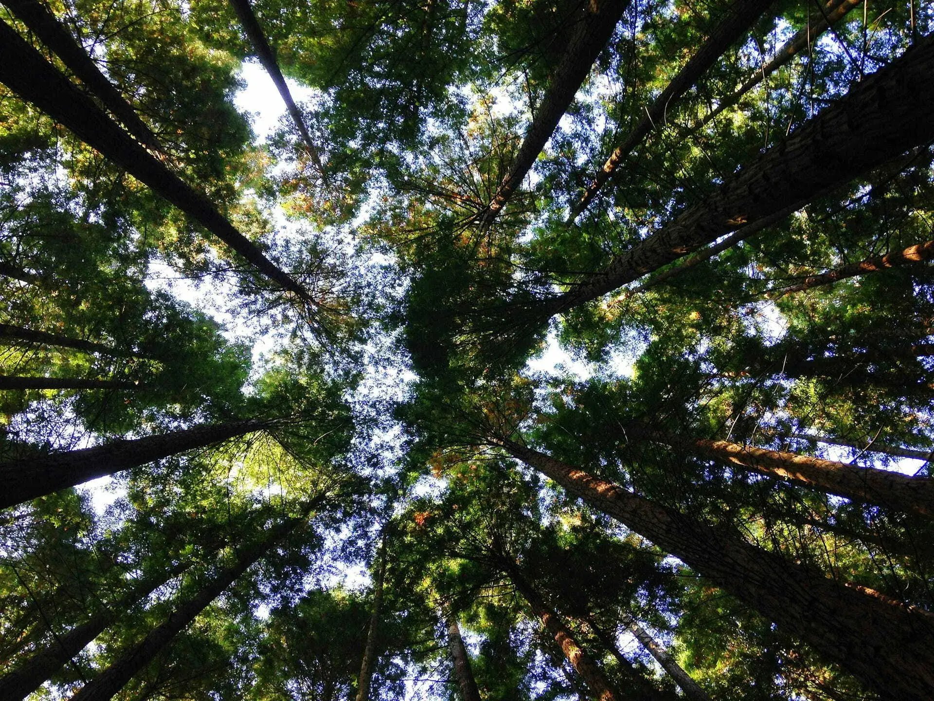 angela-benito-WgGJjGN4_ck-unsplash (2)_squished