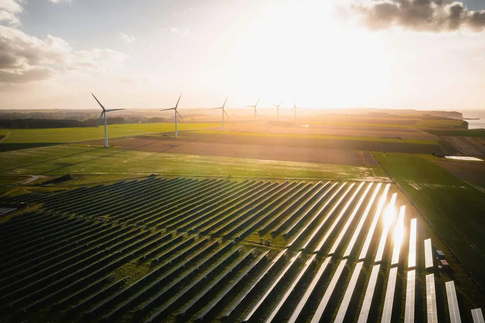 Offsetting our carbon emissions