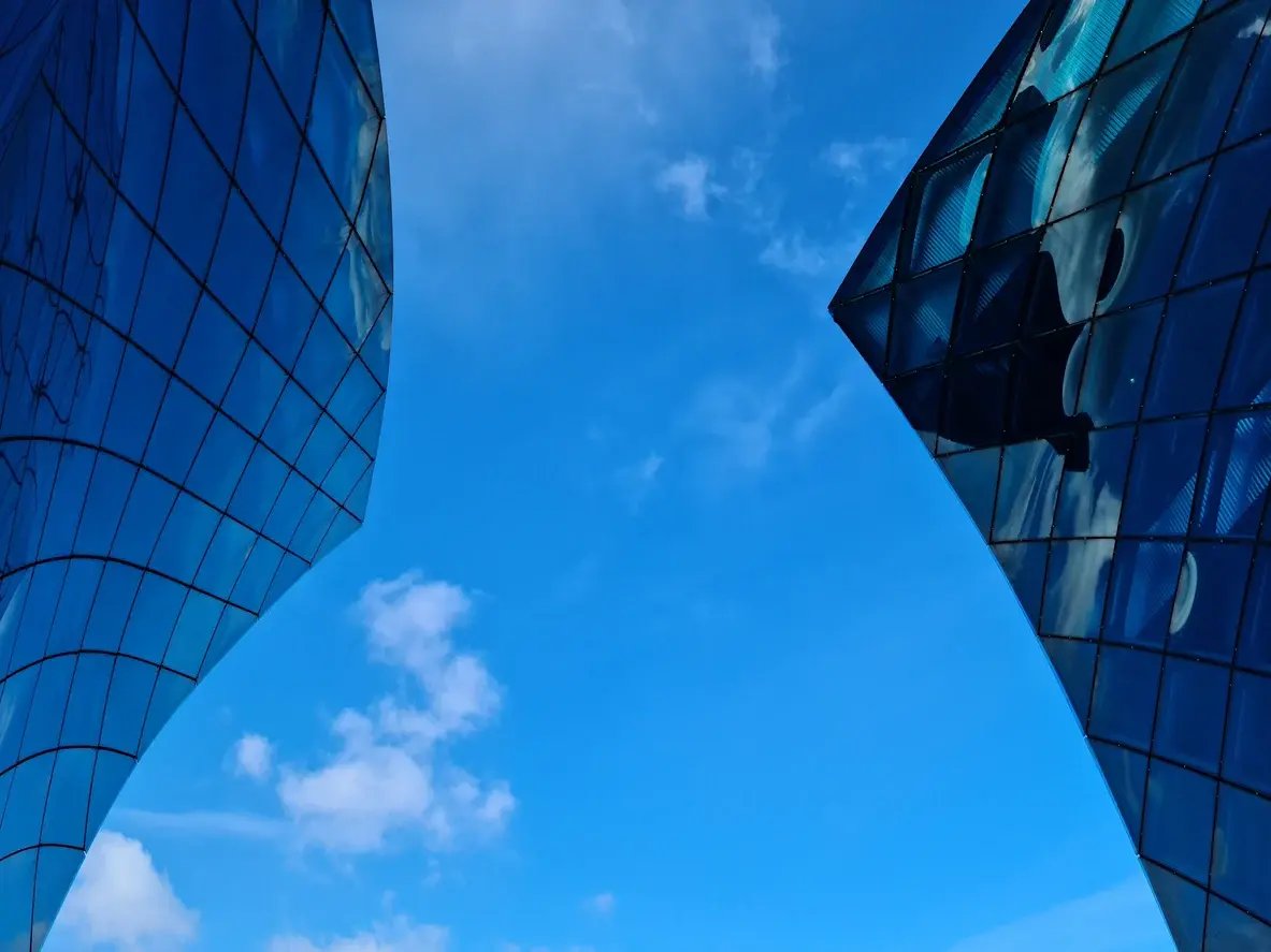 Business process controls 