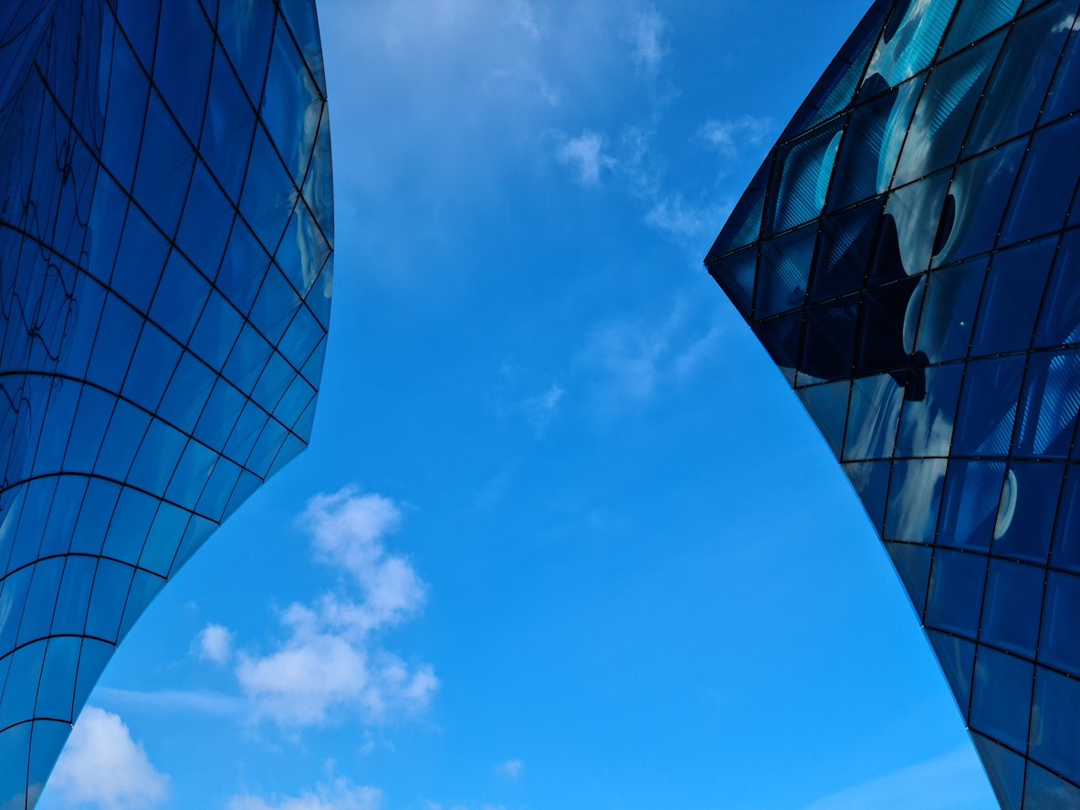 Business process controls 