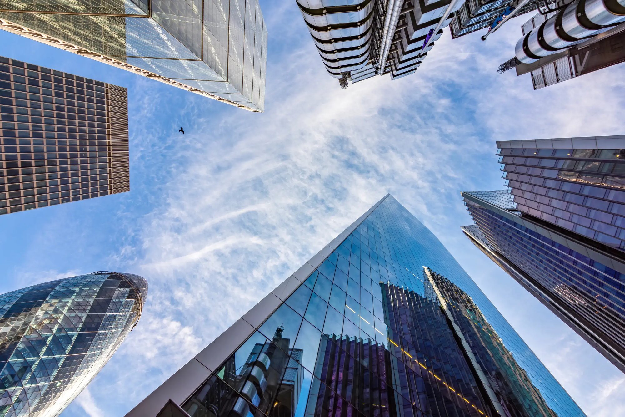 Audit and Regulatory Compliance