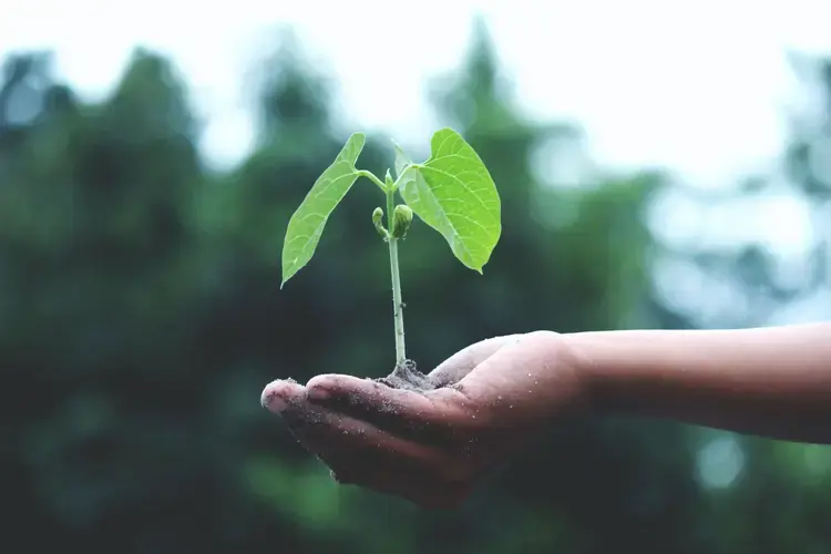 Turnkey highlights SME sector’s key role in tackling climate change